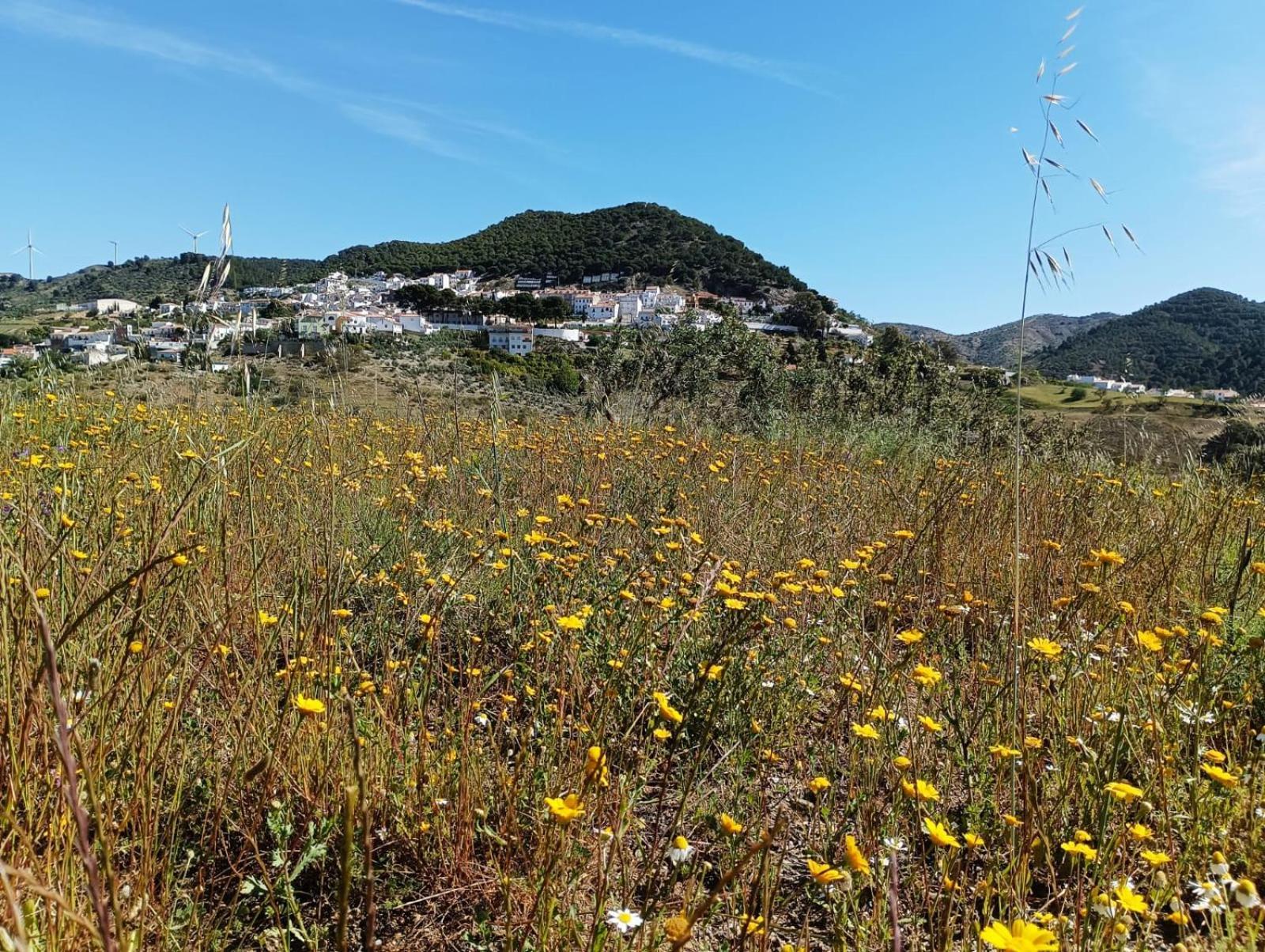 Complejo Rural Los Alcornoquillos Carratraca エクステリア 写真